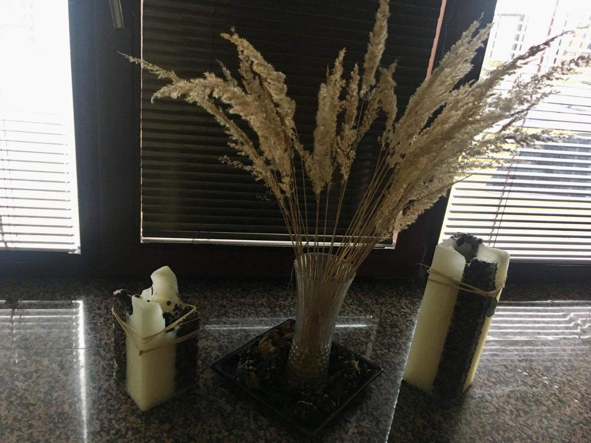 קושיצה Apartment Ela Centre מראה חיצוני תמונה